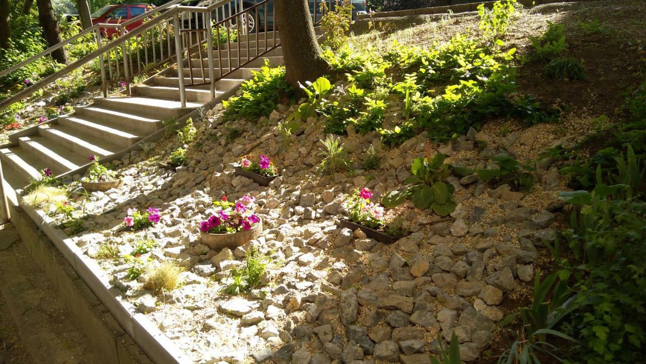 Gesztenyes Apartman Mişcolţ Exterior foto