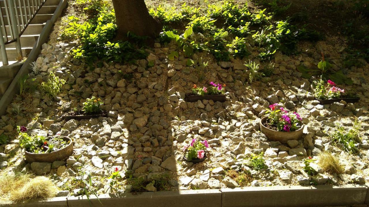 Gesztenyes Apartman Mişcolţ Exterior foto